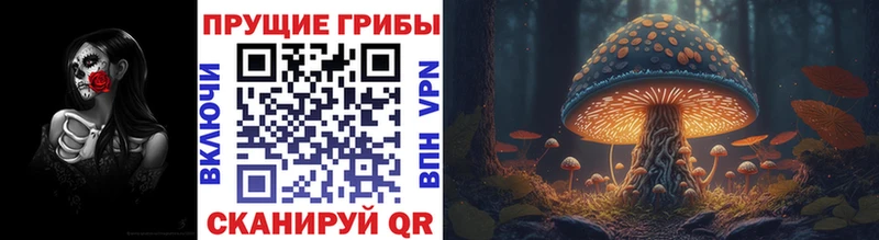 Псилоцибиновые грибы ЛСД  Купить где  Элиста 